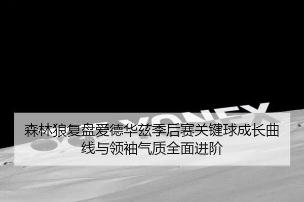 森林狼复盘爱德华兹季后赛关键球成长曲线与领袖气质全面进阶
