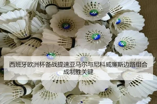 西班牙欧洲杯备战提速亚马尔与尼科威廉斯边路组合成制胜关键